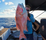 Jaw Slinger Jig Pink Lemonade BKK