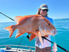 Meathead Hybrid Jig Gen 3 Value Bundle Packs x 4