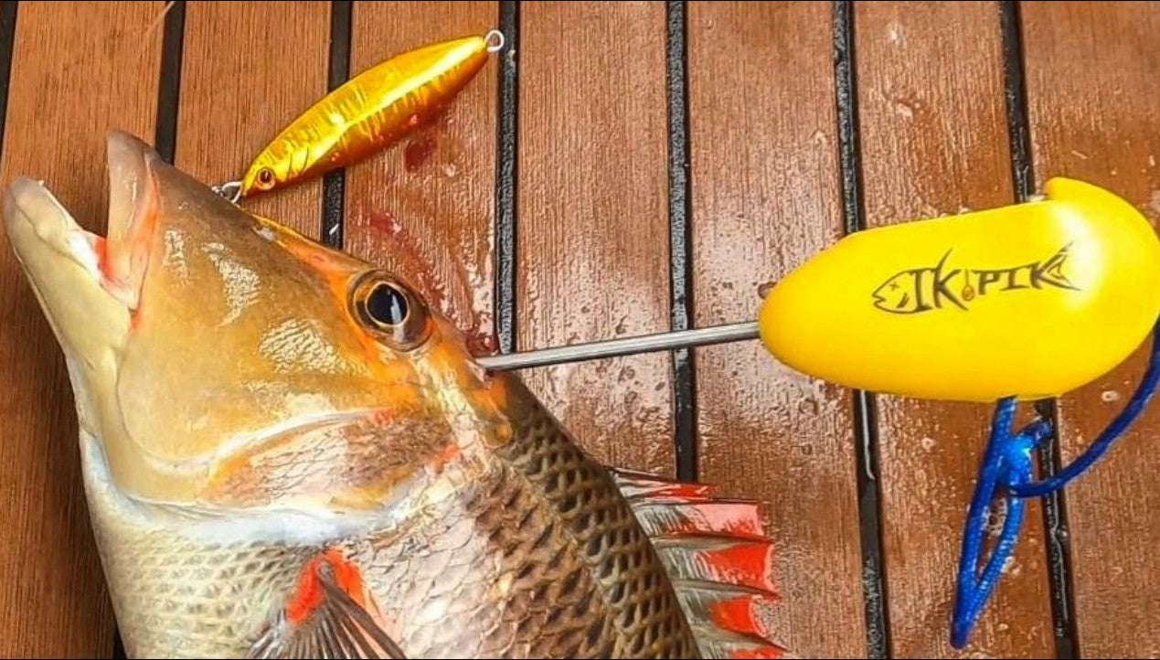 Ikipik Fish Spike – Berserker Fishing