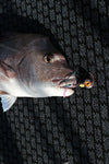 Berserker Kabura Slider Jig Gen 2 Storm Orange Glow
