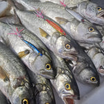 SEND IT Casting Metal Lure -  Tiger King