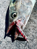 SEND IT Casting Metal Lure -  Hotdog