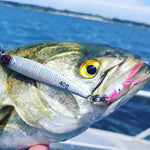 SEND IT Casting Metal Lure -  Hotdog